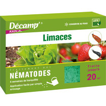 Nématodes contre les limaces -  Décamp