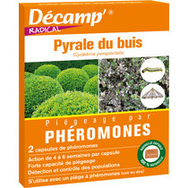 Phéromones contre la pyrale du buis - Décamp