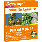 Phéromone cochenille farineuse - Décamp