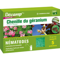Nématodes contre la chenille du géranium - Décamp