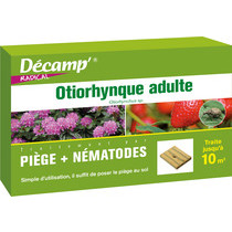 Piège + nématodes contre les Otiorhynques adultes - Décamp