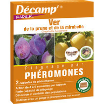 Phéromone ver de la prune et de la mirabelle - Décamp