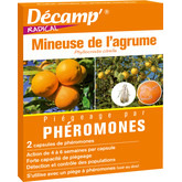 Phéromone mineuse des agrumes - Décamp