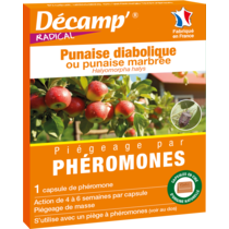 Phéromone punaise diabolique ou punaise marbrée - Décamp