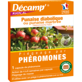 Phéromone punaise diabolique ou punaise marbrée - Décamp
