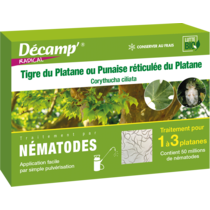 Nématodes contre le Tigre du Platane ou punaise réticulée du platane