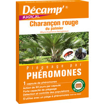 Phéromone charançon rouge du palmier - Décamp