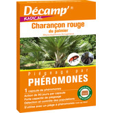 Phéromone charançon rouge du palmier - Décamp