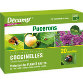 Coccinelle à 2 points - Décamp